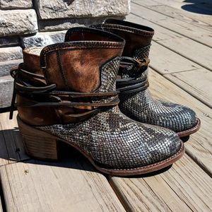 Freebird by Steven Casey